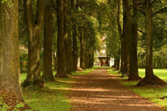 Schlosspark Matzen